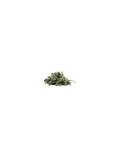 Waldminze 60 g
