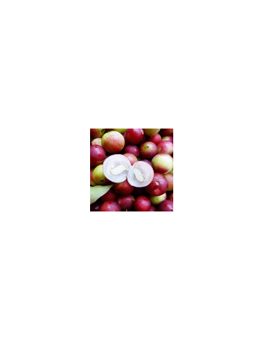 Camu Camu 111 g