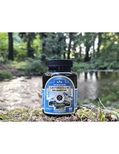 Lactobacillus Bulgaricus s lucumou 60 kapsúl 2