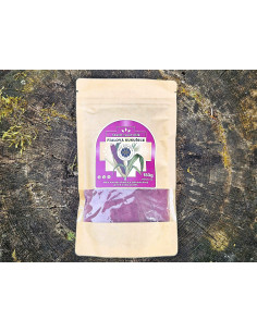 Fialová kukurica 150 g 2