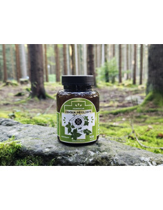 Ženšen päťlistý - tablety 100 tabliet 2