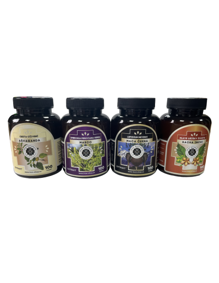 Bylinná kúra koncentrácia, pamäť, únava